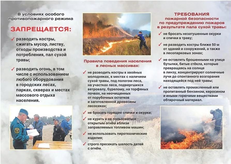 Снимок.JPG