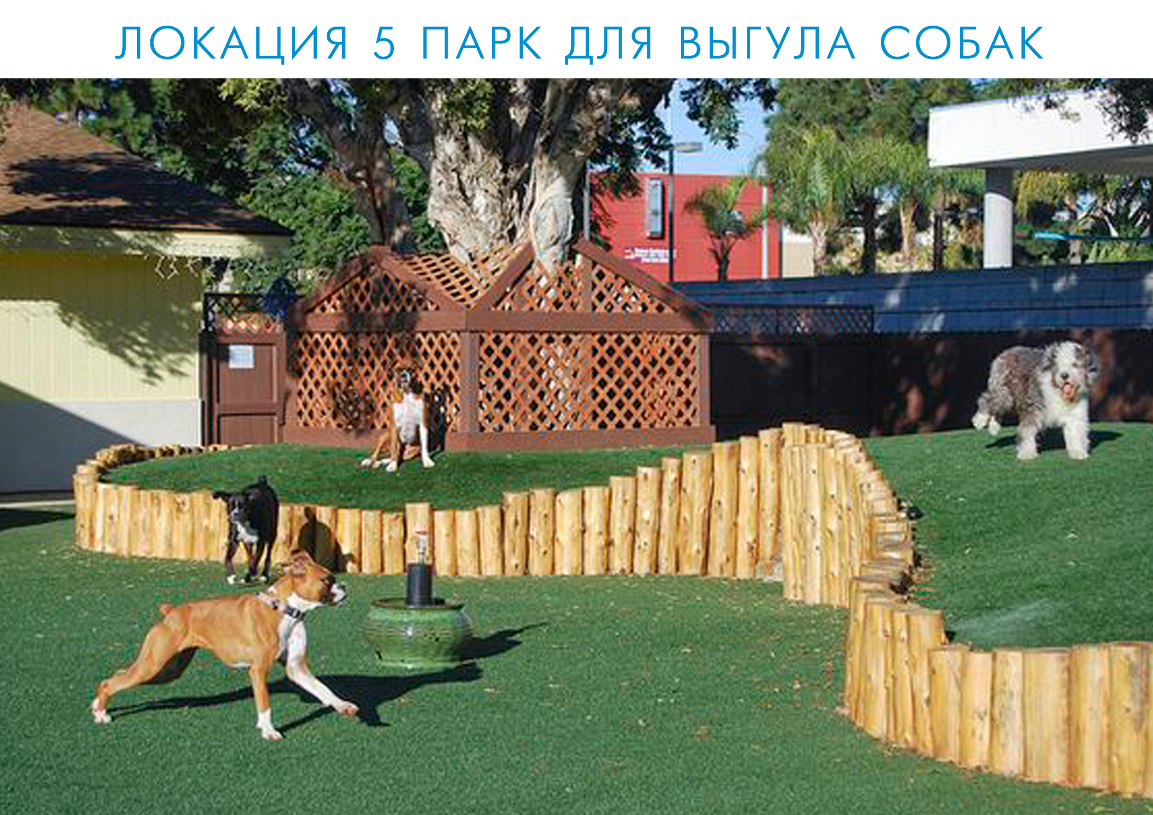 Парк для выгула собак