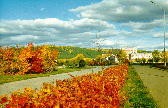 Зеленогорский сайт красноярский край