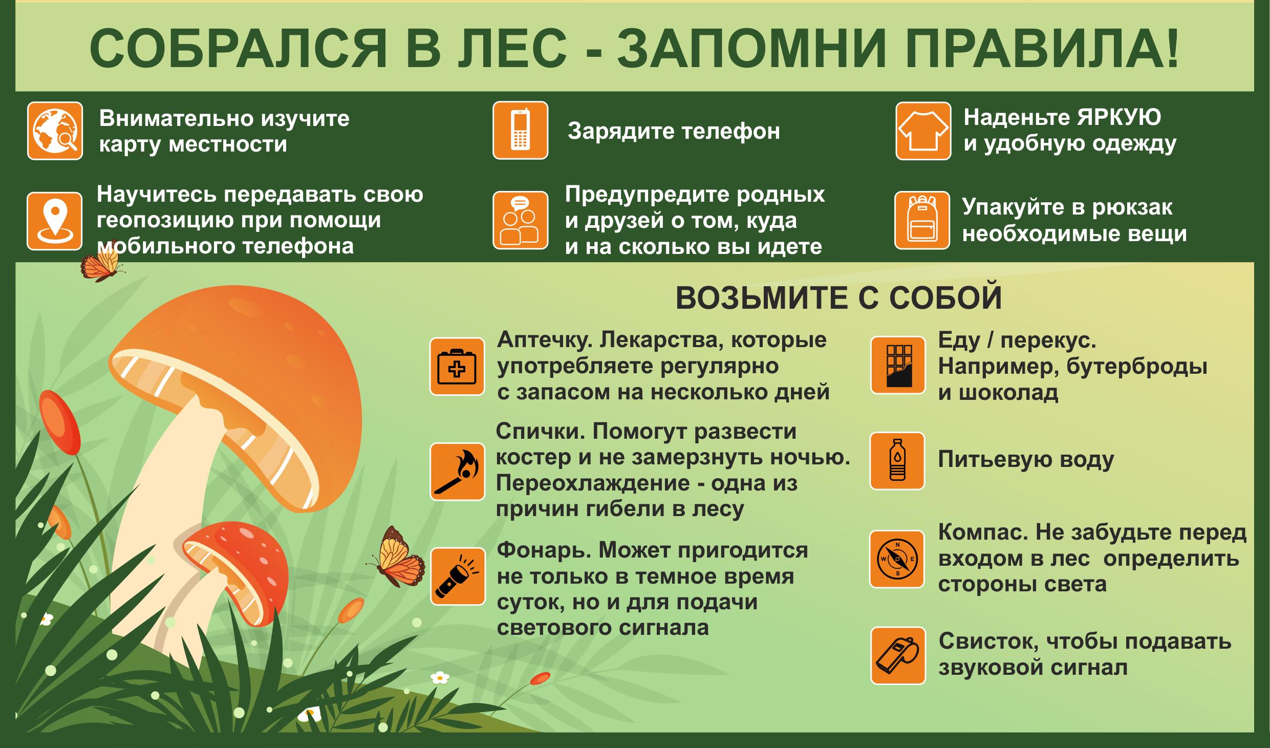 Собрался-в-лес-запомни-правила.jpg