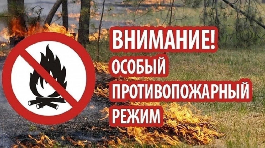 osobyy-protivopozharnyy-rezhim-vveden-gubernatorom-nizhegorodskoy-oblasti_1713517221321768448__2000x2000.jpg